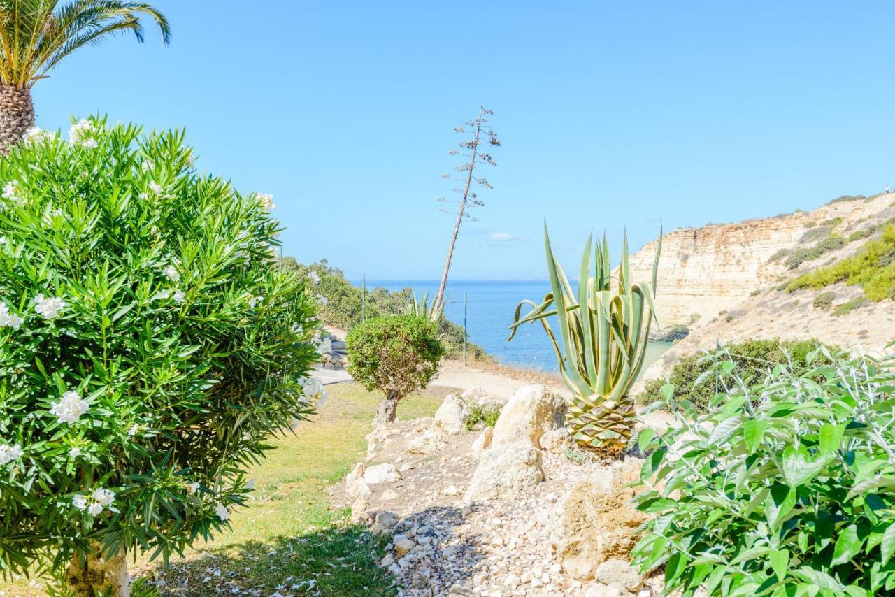 The Little Paradise With Sea Views Карвоейру Экстерьер фото